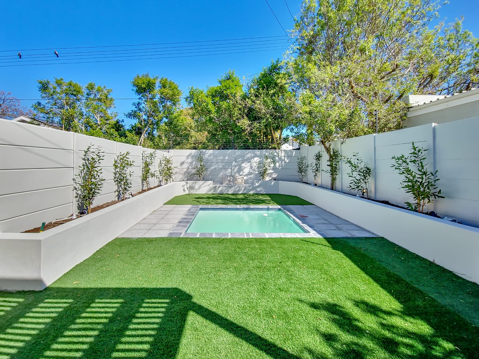 عشب صناعي حديث (3)